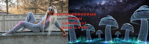 гидропоника Арсеньев