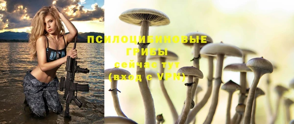 дживик Нея