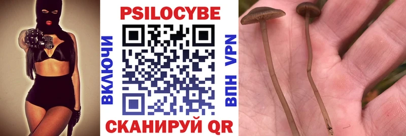 Галлюциногенные грибы Magic Shrooms  Судак 